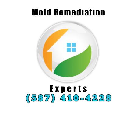 Mold Remediation Experts Edmonton (587)410-4228